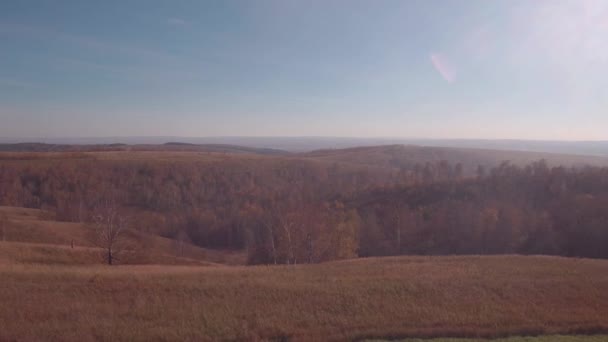 Légifelvételek. szőke nő egy őszi vidéki út közelében törött autó. 4k — Stock videók