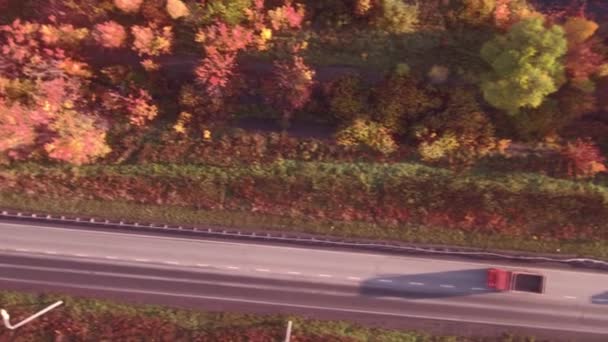 Vista aérea carretera carretera en otoño paisaje. bosque a lo largo de las carreteras — Vídeos de Stock
