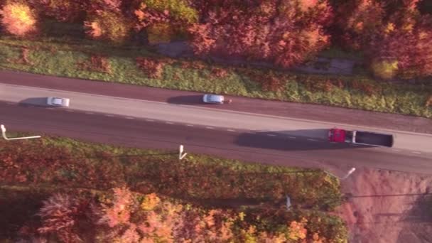 Flygfoto highway road i höstlandskap. skog längs vägkanterna — Stockvideo