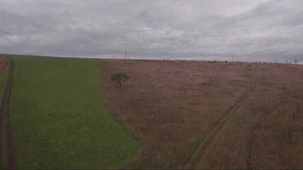 Vista aérea de outono estrada rural com carros. Conceito de logística e transporte — Vídeo de Stock