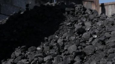 Kürek ve yığın kömür olan adam. Mini kömür kazanı-ev. kış sezonu için hazırlık. ağır çekim