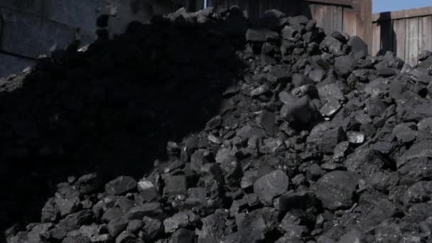 Man met schop en opslagruimte kolen. Mini kolen-Ketelhuis. voorbereiding voor het winterseizoen. Slow motion — Stockvideo