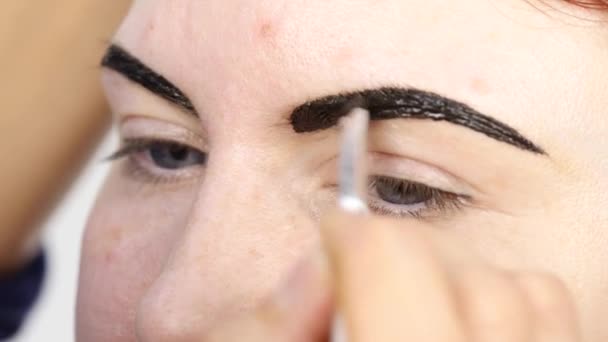 Professionele make-up artiest tekening van de wenkbrauwen van client met henna — Stockvideo