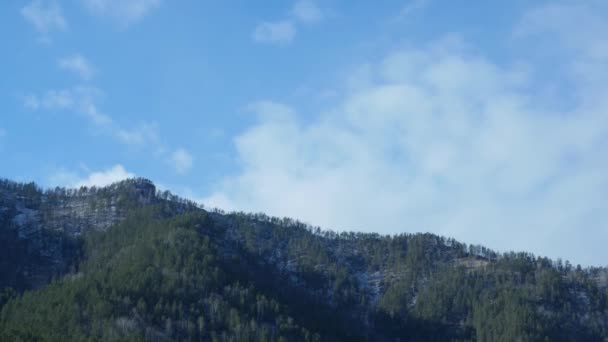 Chmury poruszające się nad górski las sosnowy. Mglisty poranek krajobraz góry. — Wideo stockowe