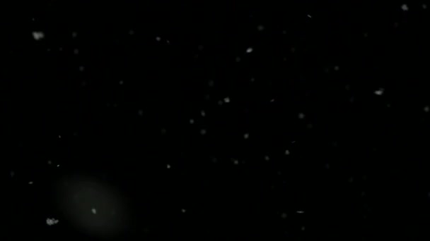 冬天的夜晚雪慢慢地落下。4k — 图库视频影像