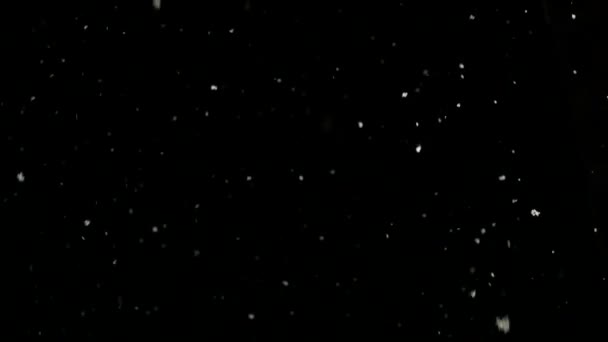 Neve cai lentamente no inverno da noite. 4K — Vídeo de Stock