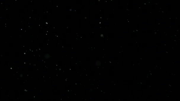 W nocy zimowych powoli spadnie śnieg. 4k — Wideo stockowe
