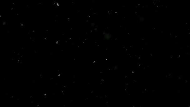 W nocy zimowych powoli spadnie śnieg. zwolnionym tempie — Wideo stockowe