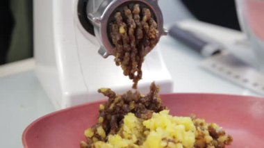 kabak, tarihler ve Kuru Erik bir elektrik değirmeni üzerinde kesme işlemi