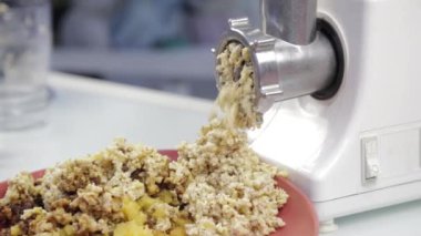 fındık, limon, tarihleri ve Kuru Erik bir elektrik değirmeni üzerinde kesme işlemi.