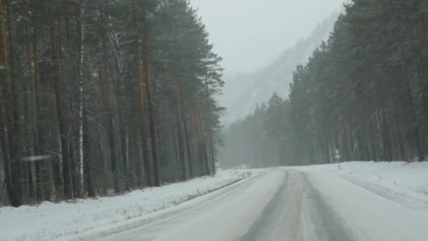 Cars drive through forest In snowstorm. view through the windshield. slow motion — Stock Video