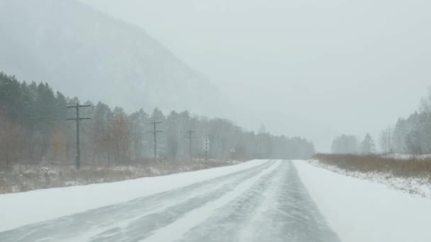Автомобілі проїжджають через ліс У снігові бурі. вид через лобове скло. 4-кілометровий — стокове відео