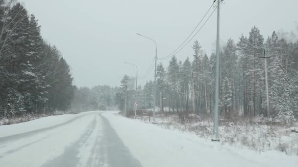 Los coches conducen a través del bosque en tormenta de nieve. vista a través del parabrisas. cámara lenta — Vídeo de stock