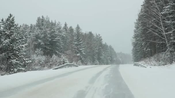 Los coches conducen a través del bosque en tormenta de nieve. vista a través del parabrisas. cámara lenta — Vídeo de stock