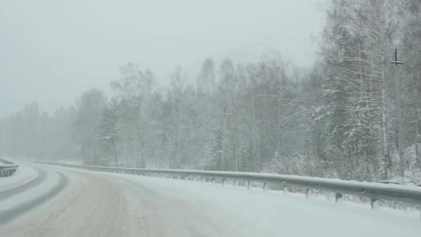 Los coches conducen a través del bosque en tormenta de nieve. vista a través del parabrisas. cámara lenta — Vídeos de Stock