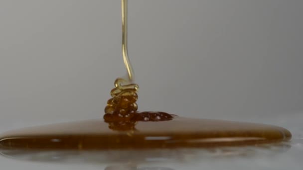꿀 물이 뚝뚝 떨어지는의 클로즈업입니다. 표면에 쏟아지는 여 보. 슬로우 모션. — 비디오