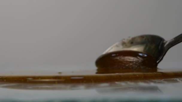 Pouring honey with spoon. honey dripping on surface. Slow Motion. — Stock Video