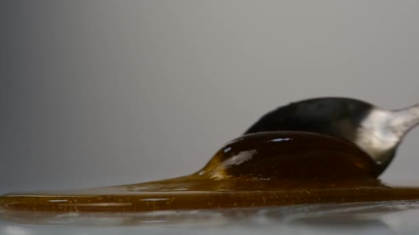 Gieten honing met de lepel. honing druipend op oppervlak. Slow Motion. — Stockvideo