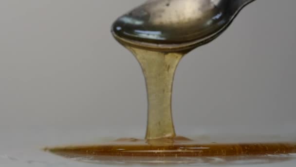 Наливать мёд ложкой. мед капает на поверхность. Slow Motion . — стоковое видео