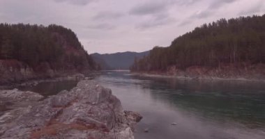 Havadan görünümü. Dağ nehir ve orman Vadisi üzerinde uçan. Sonbahar manzara. 4k
