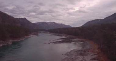 Havadan görünümü. Dağ nehir ve orman Vadisi üzerinde uçan. Sonbahar manzara. 4k