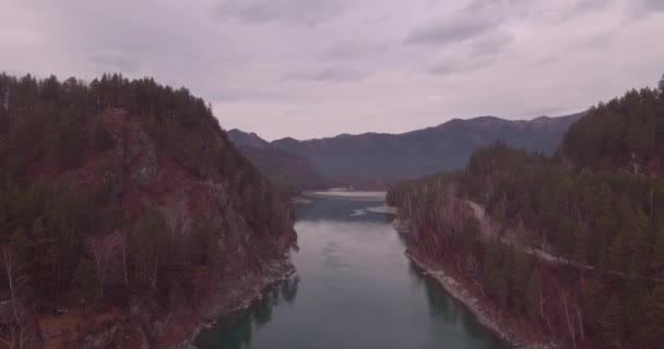 Légifelvételek. Repül át a hegyi folyó és erdő-völgyben. Őszi táj. 4k — Stock videók
