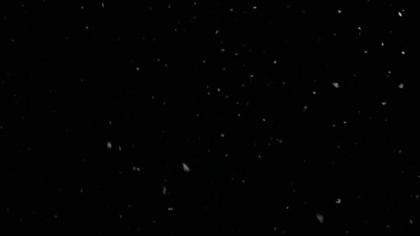 W nocy zimowych powoli spadnie śnieg. zwolnionym tempie — Wideo stockowe