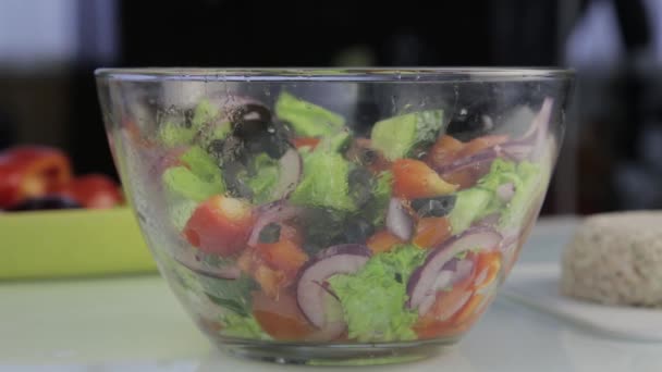 Cozinhar vegetariano baixa caloria salada grega, mãos femininas jogando a salada a . — Vídeo de Stock