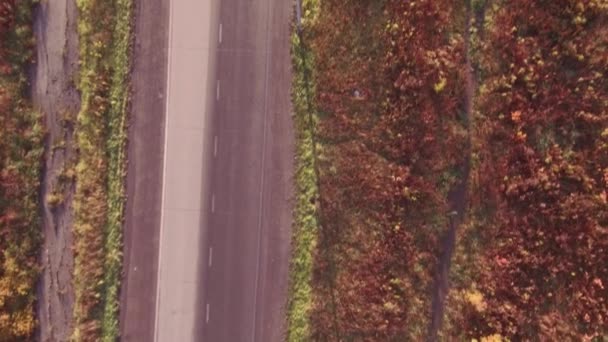 Flygfoto highway road i höstlandskap. skog längs vägkanterna — Stockvideo