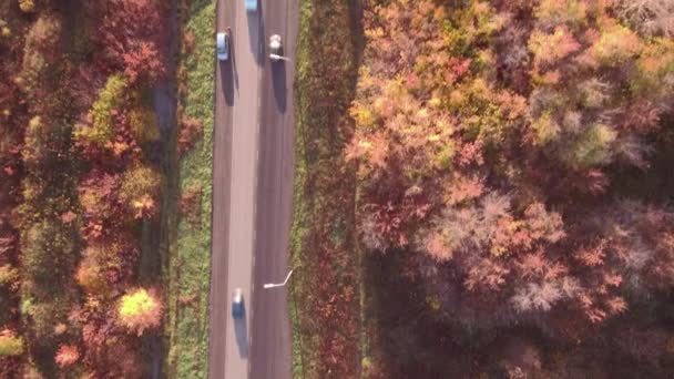 Widok z lotu ptaka drogowego autostrady w jesień krajobraz. lasów przydrożne — Wideo stockowe