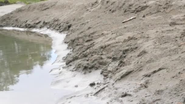 Pierres rondes avec sable le long de la rive d'un petit lac — Video