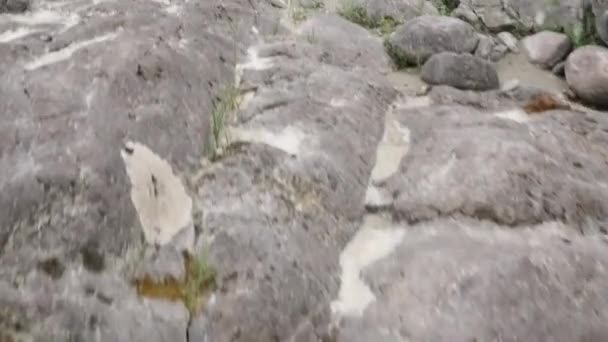 Rotsachtige kust en laag groeiende planten. ronde stenen met zand langs de oever van een meertje — Stockvideo