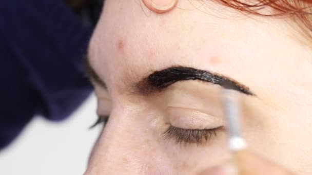 O artista de maquilagem profissional que desenha sobrancelhas do belo cliente. Conceito de beleza e moda — Vídeo de Stock