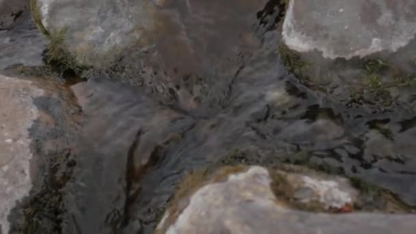 Pequeño arroyo de montaña en temporada de invierno. Corriente de agua gorgoteante sobre piedras y rocas — Vídeos de Stock