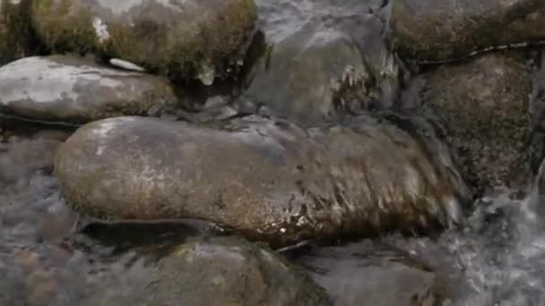 Kleine berg creek in het winterseizoen. Brabbels waterstraal over stenen en keien — Stockvideo
