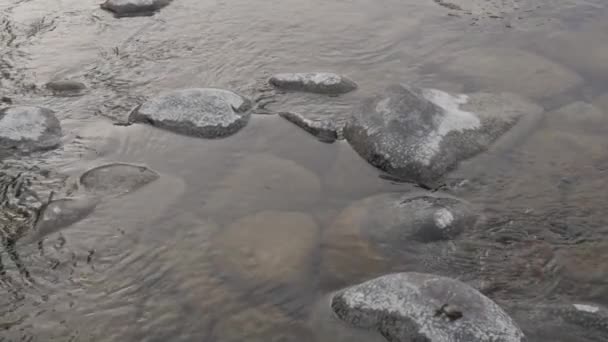 Stream small mountain river in winter season over stones and boulders — Stock Video