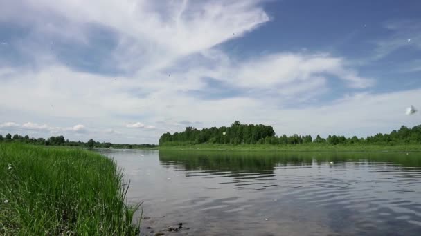 Сонячний день на спокійній річці влітку. зелена трава на березі і хмари — стокове відео