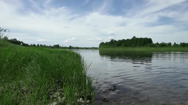 Zonnige dag op een rustige rivier in de zomer. groen gras op de wal en de wolken — Stockvideo