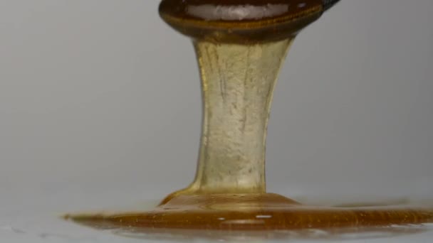 Наливать мёд ложкой. мед капает на поверхность. Slow Motion . — стоковое видео