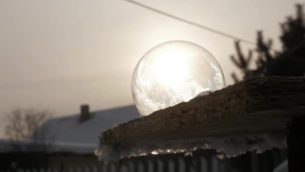 Ледяной Мыльный Пузырь Замороженный Снежный Глобус Снежинки Льдом Покрыты Глазурью — стоковое видео