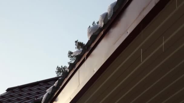 Des glaçons fondus tombant d'un toit. Les gouttes de printemps, les glaçons fondent soleil et neige — Video
