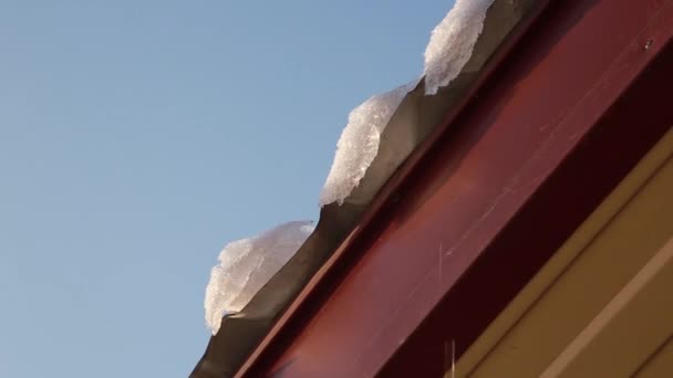 Schmelzende Eiszapfen tropfen von einem Dach. Frühling fällt, Eiszapfen schmelzen Sonne und Schnee — Stockvideo