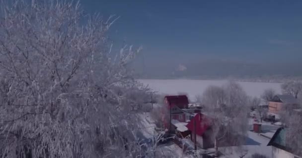 Vista aérea da geada branca em uma árvore congelada no topo do campo. voo sobre a copa da árvore. 4K — Vídeo de Stock