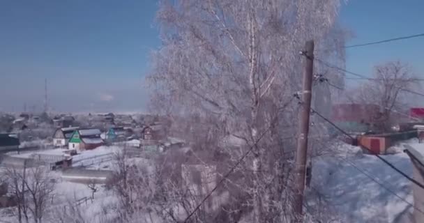 Вид с воздуха на белый мороз на замерзших вершинах деревьев в сельской местности. полет над верхушкой деревьев. 4K — стоковое видео
