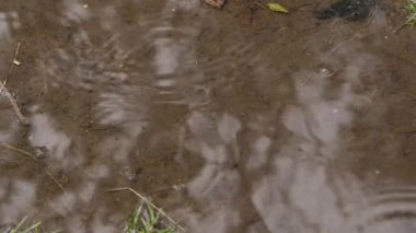 Erken Bahar hava, kar taneleri su birikintisi üzerinde bırakır. 4k