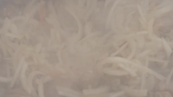 Uien en knoflook worden gebakken in een pan met vlees. Koken roergebakken vlees met groenten. Slow Motion — Stockvideo