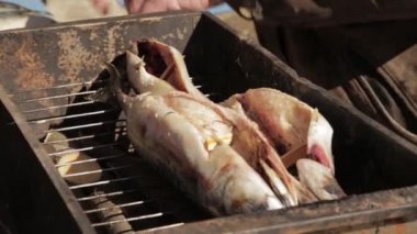 yaşlı adam sigara ya da ızgara için hazırlık balık eller. uskumru smokehouse açık pişirme.