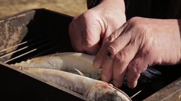 Alte Hände bereiten Fisch zum Räuchern oder Grillen zu. Kochen Makrele in Räucherei im Freien. — Stockvideo