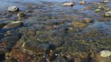 geniş sığ nehirhızlı akış, su ile alt kısmında bir taş görünümü. su üzerinde güneş parlama
