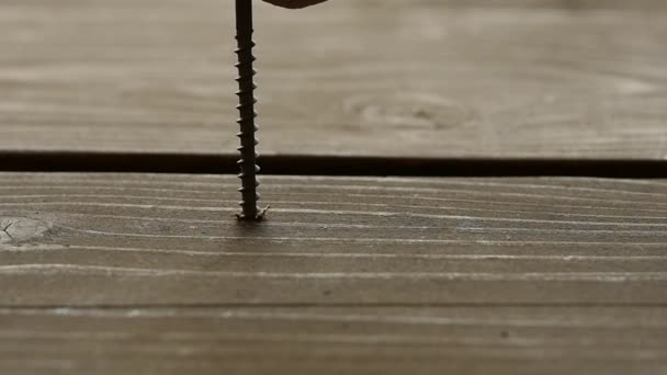 Stolarz naprawia drewnianą podłogę za pomocą wkrętów z wkrętakiem. Zwolnionym — Wideo stockowe